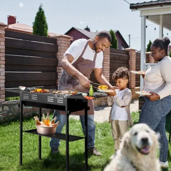 NAYSAYE Grill Racks Portable Charcoal Grill with 2 in 1 Pan and Grill for Outdoor Cooking, Black, 26.18"*7.28"*12" image {1}