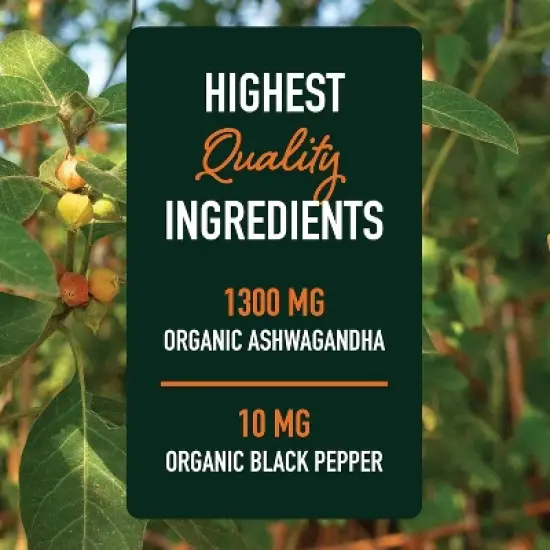 Ashwagandha Supplement, High Absorption Adaptogen from Root Powder with Black Pepper for Stress Resistance & Energy Boost, SMNutrition, 120ct image {7}
