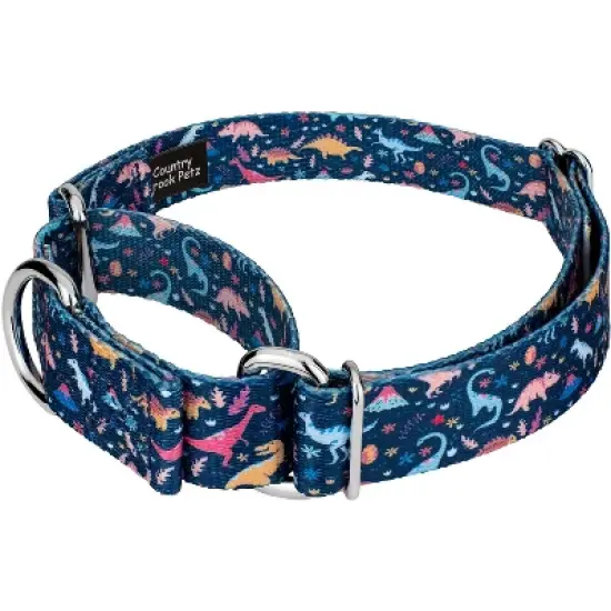 Country Brook Petz Dinosaurs Martingale Dog Collar and Leash image {2}