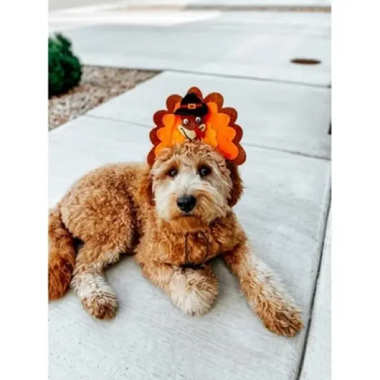 Midlee Turkey Dog Headband image {3}