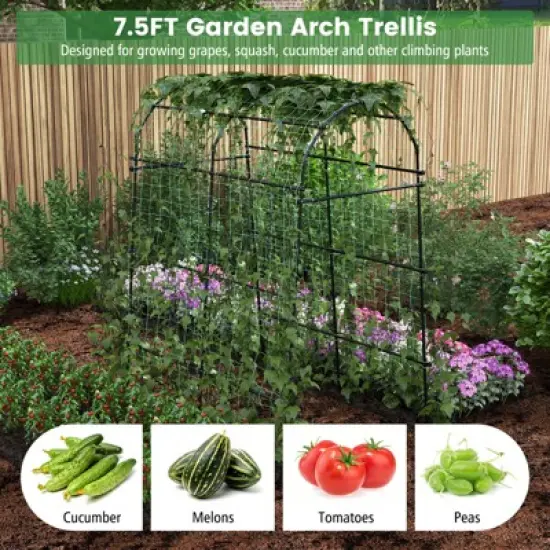 Tangkula Garden Arch Trellis 7.5 FT Tall Garden Arch Plant Tunnel Trellis with Trellis Netting Tunnel Plant Support image {3}
