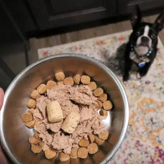 Stella & Chewy's Lamb Flavor Freeze-Dried Mixers Dry Dog Food - 35oz image {4}