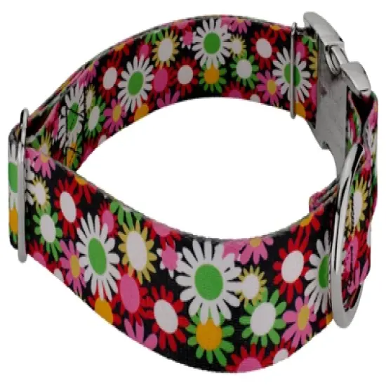 Country Brook Petz 1 1/2 Inch Premium Daisy Fields Dog Collar image {2}