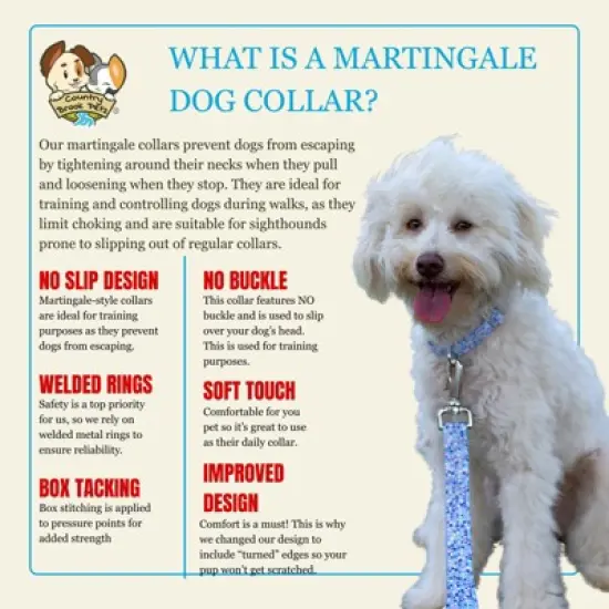 Country Brook Petz HossFit Jr Wide Martingale Dog Collar - Abstract Collection image {3}