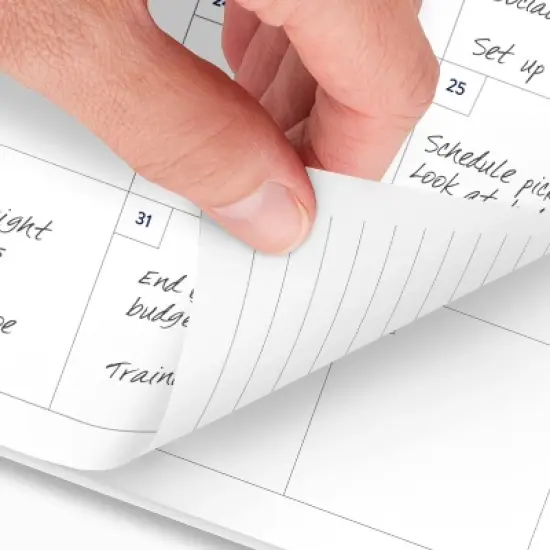 Emily Ley for At-A-Glance 2025 Weekly/Monthly Planner 11"x9.25" Stripe: Simplified Planner, Non-Toxic, Acid-Free Paper image {7}