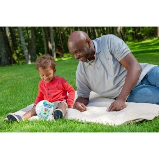 Stonyfield Organic Whole Milk Kids' Yogurt - 4ct/3.5oz Pouches image {1}