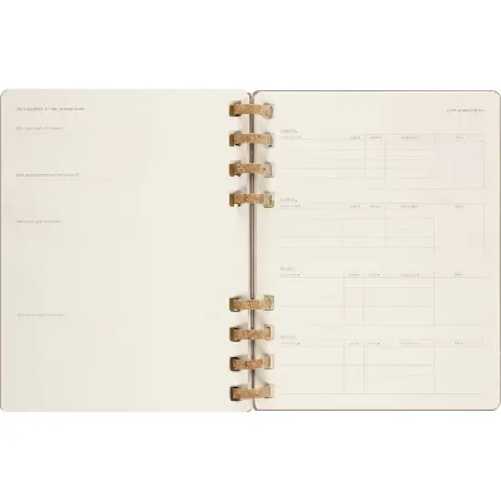 Moleskine 2023-24  Academic Weekly Planner 10"x8" XL Spiral Almond image {9}