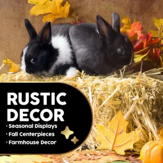 Firewood Central Mini Straw Bale by Morning View Acres &ndash; Natural Wheat Straw for Gardening, Pet Bedding, Seeding & Decor (12"x4"x6", 2lb) image {4}