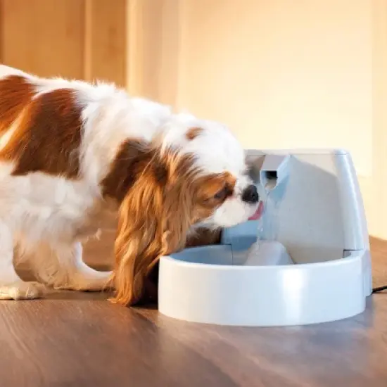 PetSafe Original Fountain image {4}