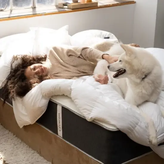 Lincove 12 Inch Spring Hybrid and Memory Foam Mattress - Medium Firm Mattress CertiPUR-US Certified - Adaptive Support, Pressure Relief - Made in USA image {1}