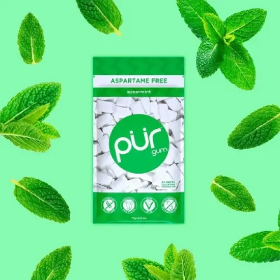 Pur Gum Spearmint Bag - 2.72oz image {4}