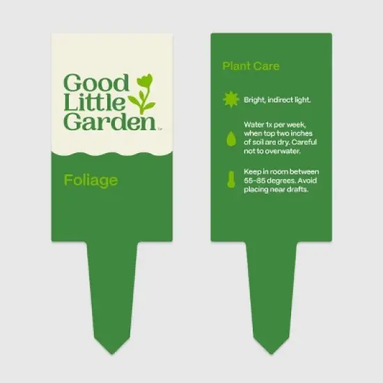 8" Foliage - Good Little Garden&trade; image {6}