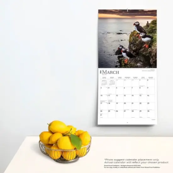 Browntrout 2024 Wall Calendar 12"x12" Iceland image {3}