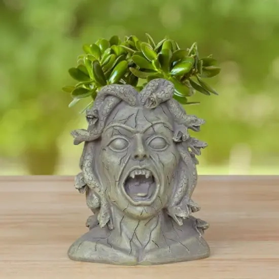 Darware Resin Medusa Head Planter, Garden Decor Statue Flower Pot image {1}