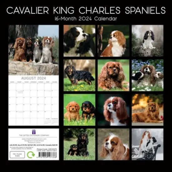 The Gifted Stationery 2024 Square Wall Calendar, Cavalier King Charles Spaniels, 16-Month Animals Theme with 180 Stickers (12 x 12 In) image {3}