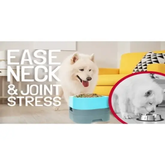 Pet Weighter Elevated Raised Weighted No-Spill Non-Slip Fillable Easy-Clean Water and Food Bowl for Dogs and Cats image {3}