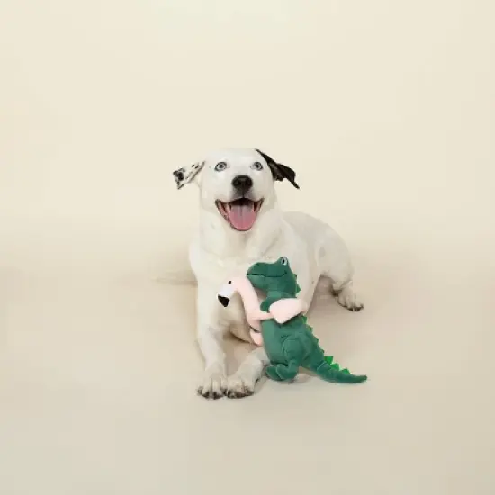 PetShop by Fringe Studio Pool Time Rex Dog Toy - Dark Green image {2}