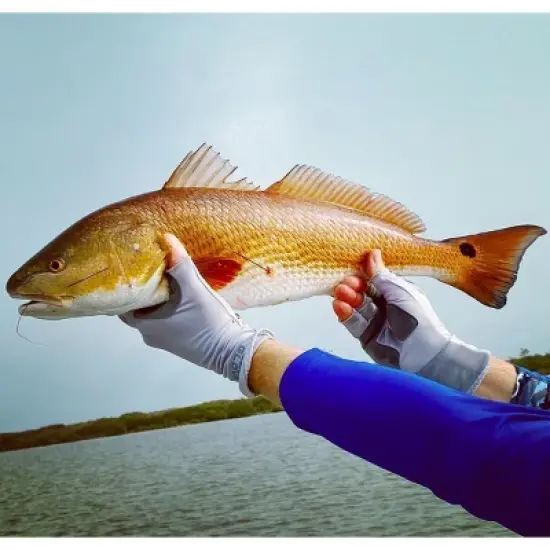 Glacier Glove Islamorada Fingerless Sun Gloves image {4}