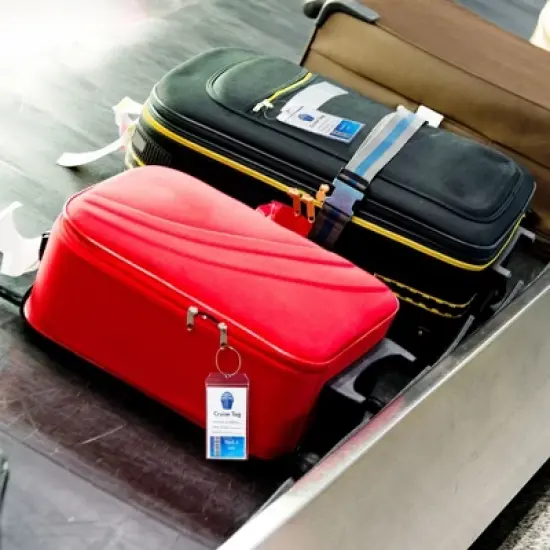 Juvale 20 Pack Plastic Cruise Tags Holders for Luggage, Bulk Zip Seal and Steel Loops for Suitcases, 3.5 x 7.2 In image {2}