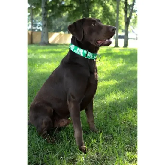 Country Brook Petz Kelly Green Hawaiian Martingale Dog Collar image {2}