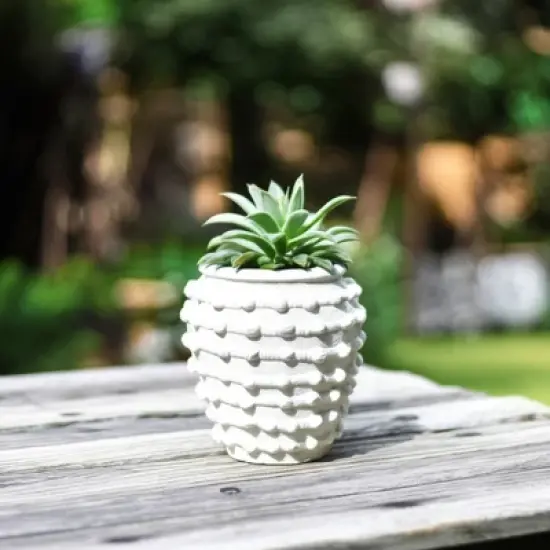 Stone Ceramic Planter with Raised Textured Surface and Rounded Edge Design - Contemporary Decorative Accent Pot with Sculpted Detail image {11}