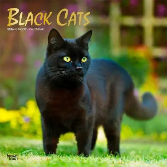BrownTrout Black Cats 2026 12"x24" Hanging Square Wall Calendar Plastic-Free image {9}
