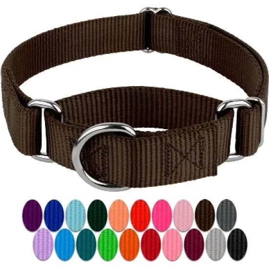 Country Brook Design Martingale Heavyduty Nylon Dog Collar image {3}