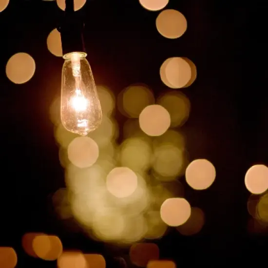 Nature Spring Vintage-Style Outdoor Solar-Powered String Lights - 14.5' image {3}