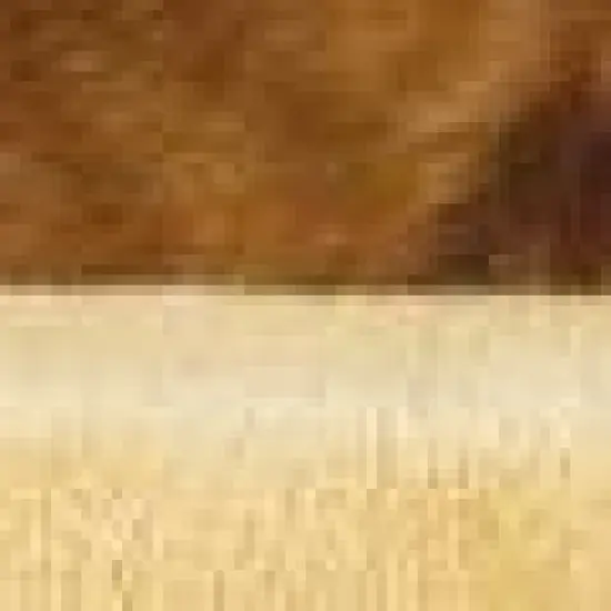 K&H Pet Products  Thermo-Kitty Bed image {2}