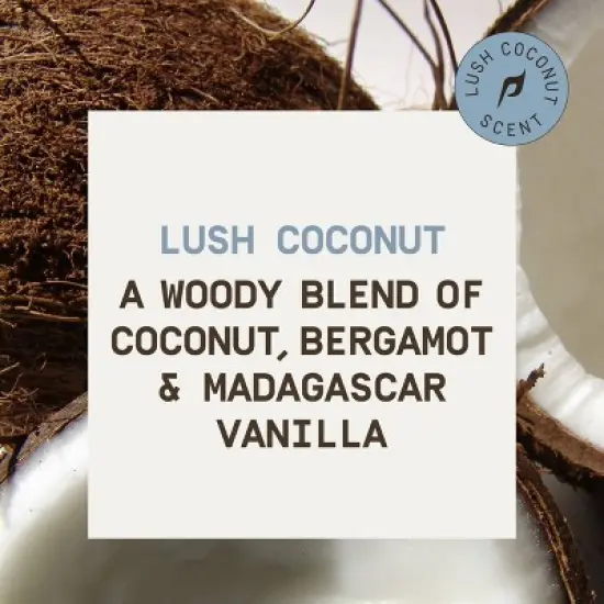 Papatui Men's 48-Hour Protection Sweat and Odor Control Solid Antiperspirant Deodorant - Lush Coconut - 2.6oz image {6}