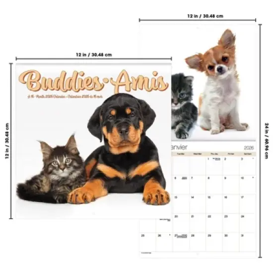 Trends International 2026 Buddies Bilingual French 12"x12" Wall Calendar image {6}