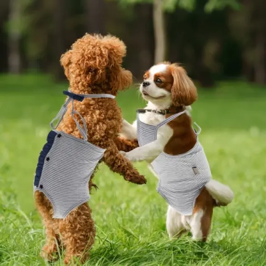 Unique Bargains Reusable Dog Diapers Large Gray White 1 Pc image {3}