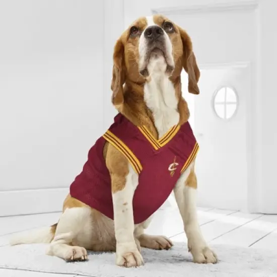 NBA Cleveland Cavaliers Pets Basketball Mesh Jersey image {3}