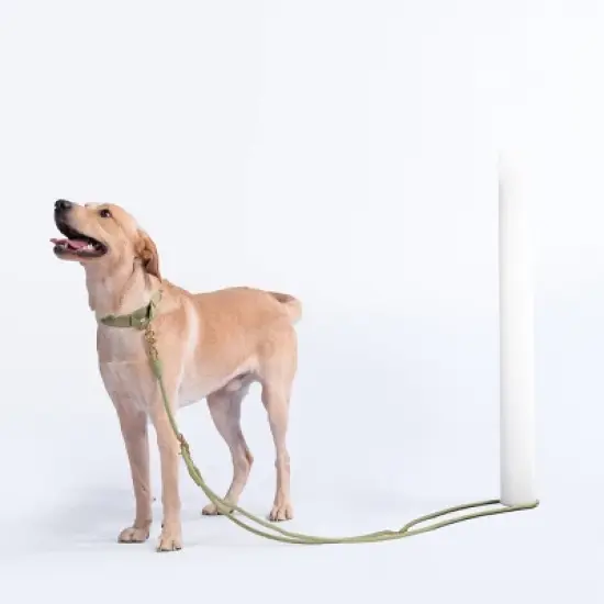 AWOO Infinity Multifunctional Recycled Dog Leash - 7ft image {7}