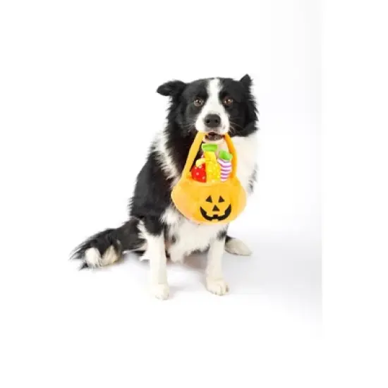 Midlee Find a Toy Halloween Pumpkin Bucket Dog Toy image {5}