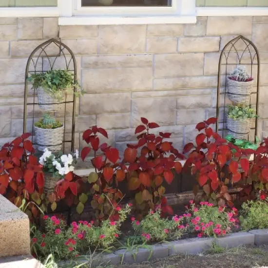 Sunnydaze Steel Wire Arched Climbing Plants Wall Trellis with Flowerpot Supports - 48" H - Black - 2-Pack image {4}