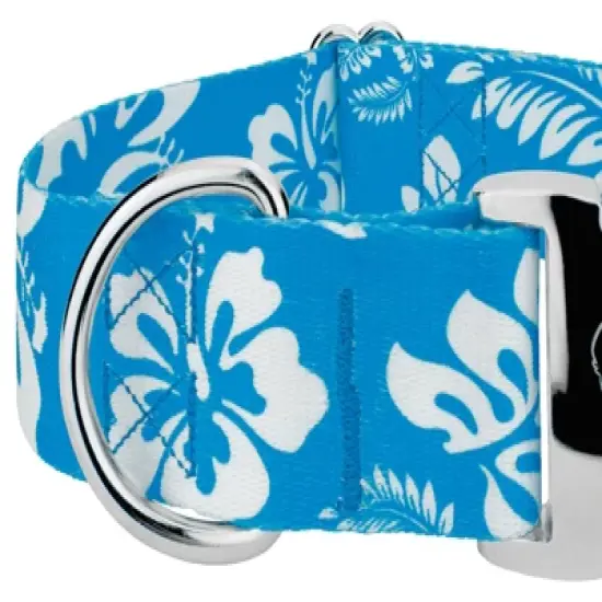 Country Brook Petz 1 1/2 Inch Premium Blue Hawaiian Dog Collar image {3}