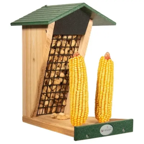 JCs Wildlife Double Snacker Squirrel Feeder image {1}