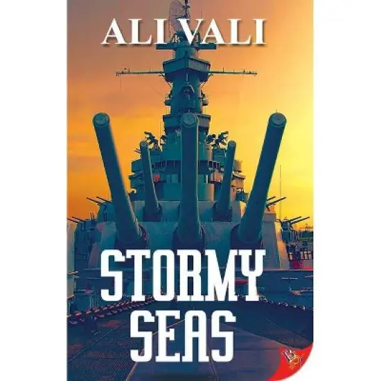 Stormy Seas - by  Ali Vali (Paperback) image {1}