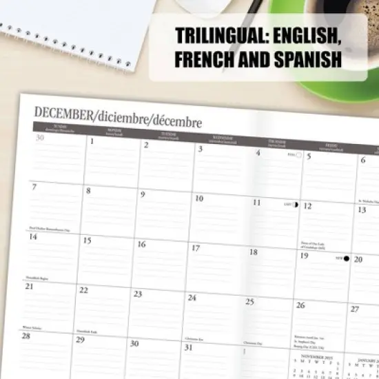 Willow Creek Press Who'S Afraid Academic July 2025 - June 2026 7.5"x9.5" Booklet Monthly Planner image {4}