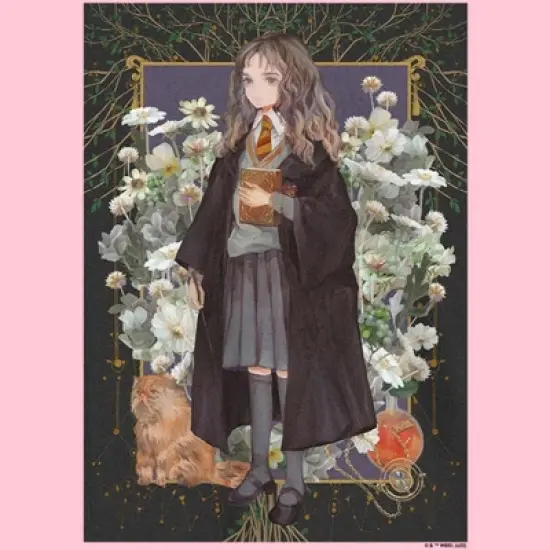 Girl's Harry Potter Fantasy Hermione Granger T-Shirt image {1}