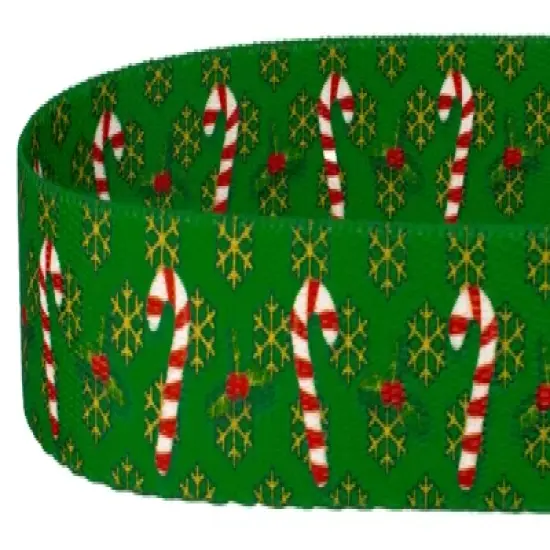 Country Brook Petz&reg; 1 Inch Candy Cane Christmas Dog Leash, 6 Foot image {3}