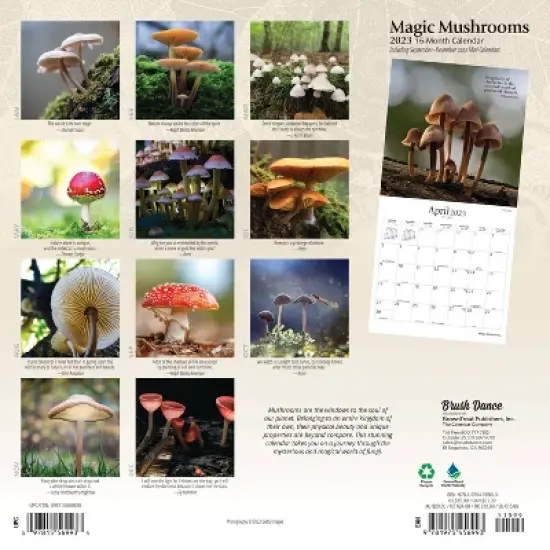 2023 Square Wall Calendar Magic Mushrooms - BrownTrout image {1}