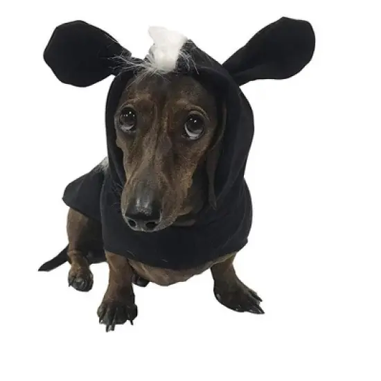 Midlee Skunk Dog Costume image {3}