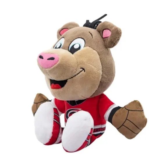 Bleacher Creatures Carolina Hurricanes Stormy 8" Kuricha Mascot Sitting Plush image {2}