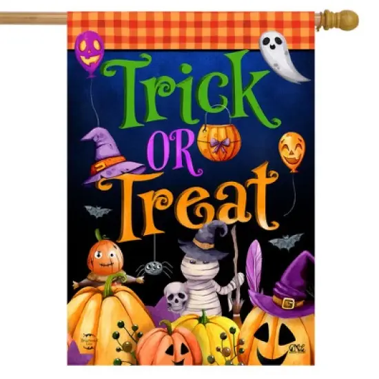 Trick Or Treat Party House Flag 28" x 40" Briarwood Lane image {1}