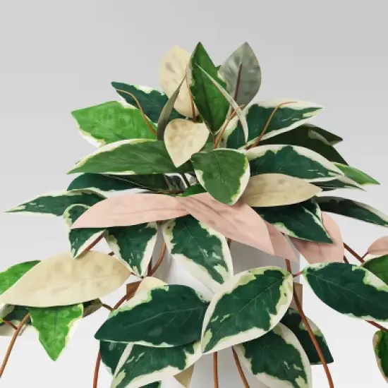 13" Trailing Plant in Wood Planter - Threshold&trade; image {3}