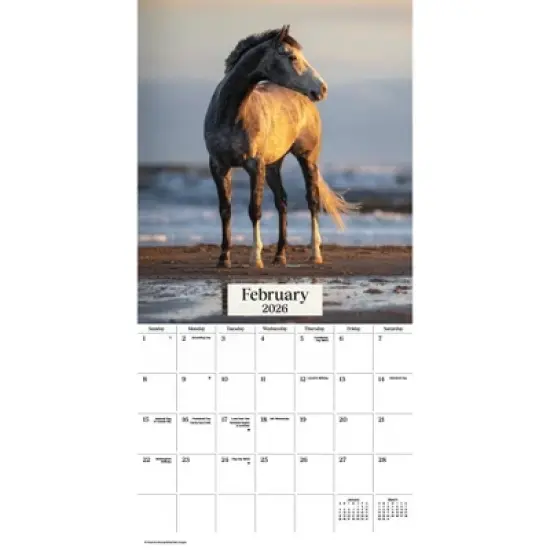 Trends International 2026 Horses 12"x12" Wall Calendar image {2}