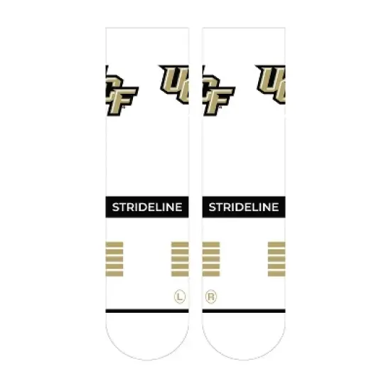 NCAA UCF Knights Premium Knit Crew Socks - White image {1}
