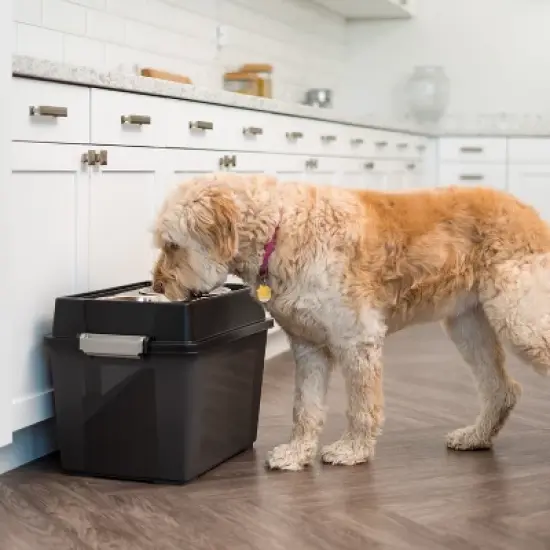 IRIS USA 2-in-1 Elevated Dog Bowls Feeder with Airtight Pet Food Storage Container image {4}